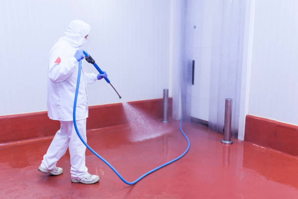Best Warehouse Cleaning  in Azalea Park, FL